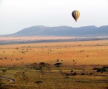 1 Day Tanzania Safaris