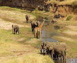 3 Days Tanzania Safaris