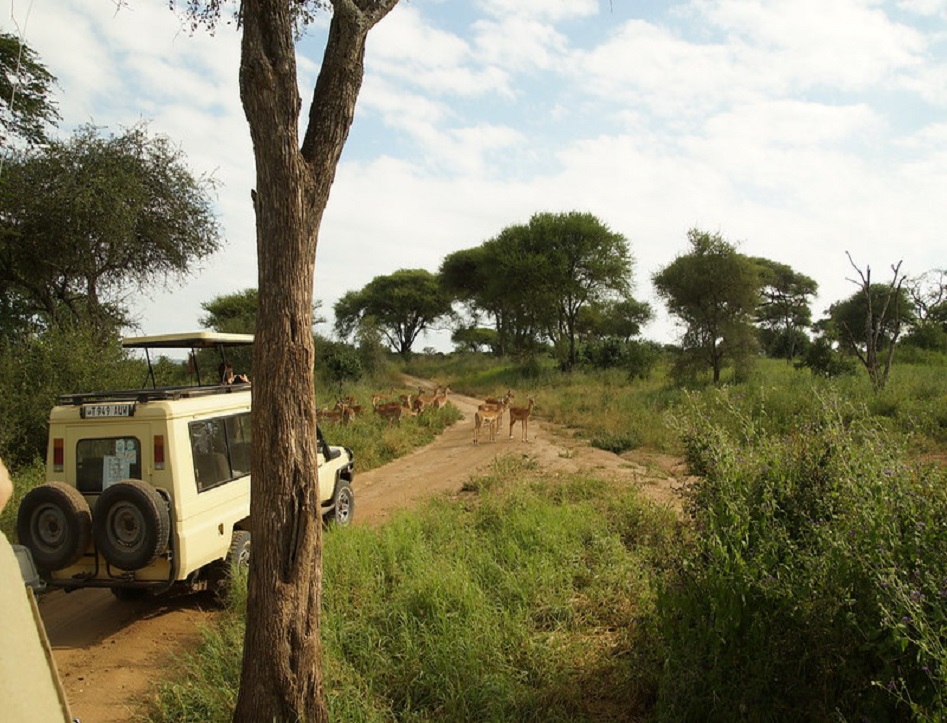 1-Day Tanzania Safari to Ngorongoro Crater