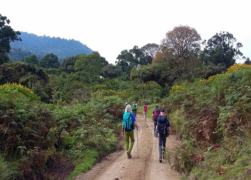 3 Days Mount Meru Trekking Tour