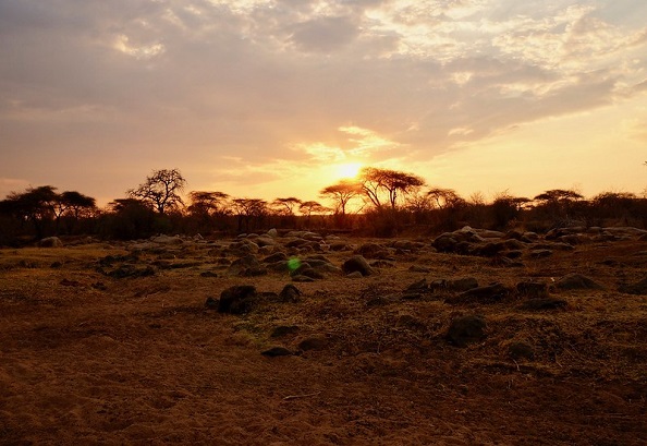 5 Days Safari to Tarangire, Lake Manyara, Serengeti & Ngorongoro Crater