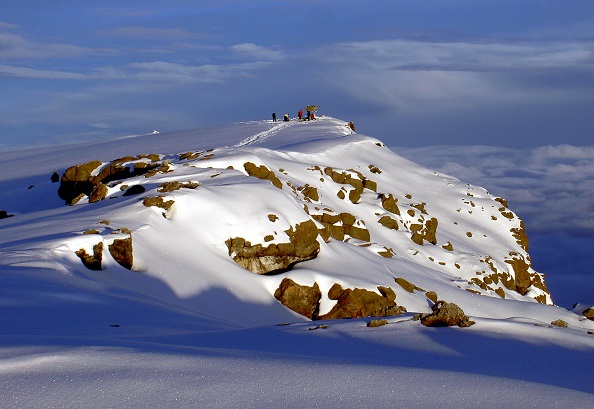 8 Days Northern Circuit Route Kilimanjaro Tour