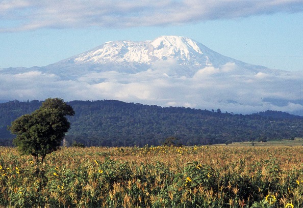 9 Days Lemosho Route Kilimanjaro Tour